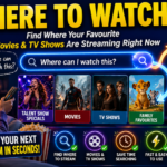 What Is the Where to Watch Tool