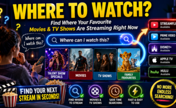 What Is the Where to Watch Tool